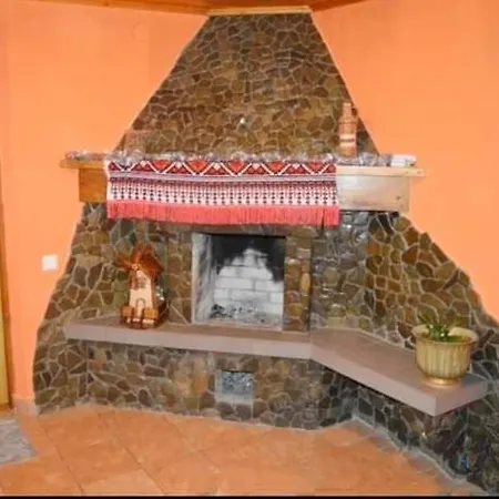 червона калина Slavske