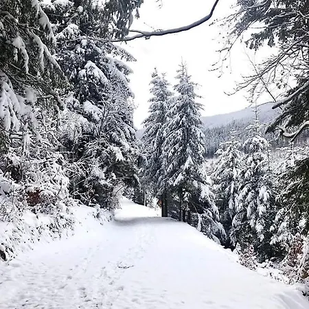 червона калина 3* Slavske