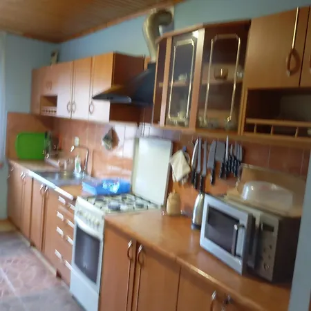 червона калина Guest house Slavske