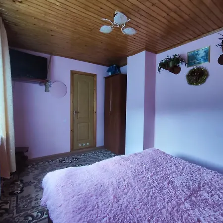 червона калина 3*