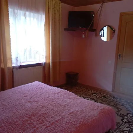 червона калина Slavske