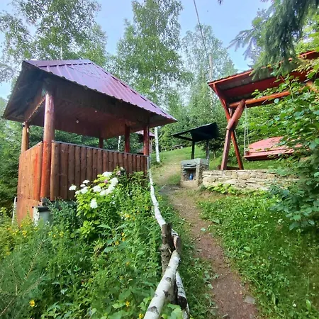 червона калина Slavske