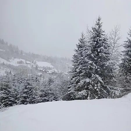 червона калина Guest house 3*