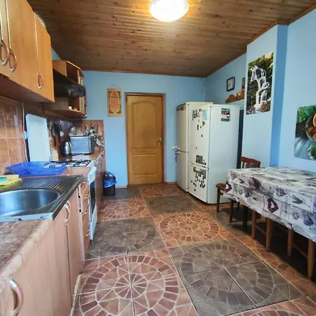 червона калина Slavske