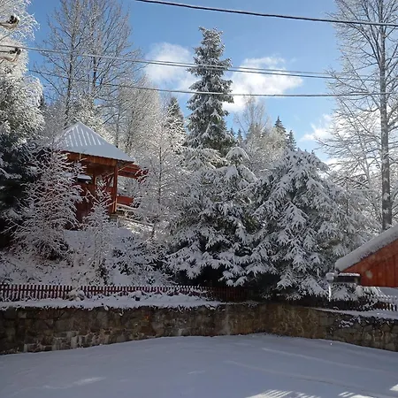 Guest house червона калина 3*