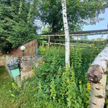 Guest house червона калина