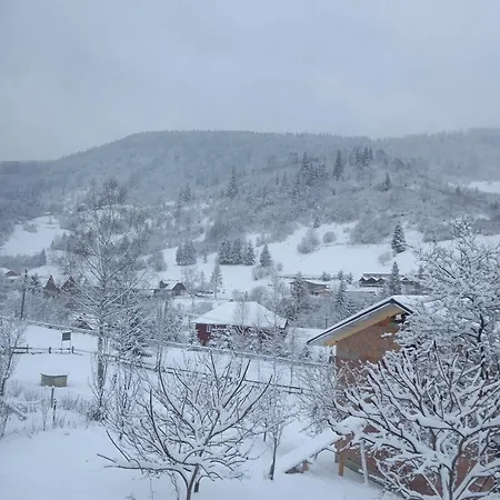 червона калина Slavske