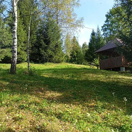 червона калина Guest house Slavske