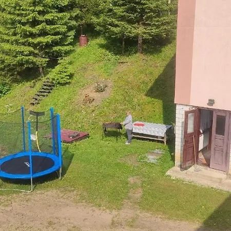 червона калина Slavske