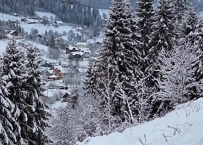червона калина 招待所