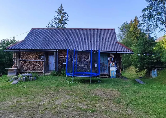 червона калина 招待所