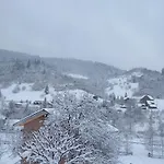 червона калина
