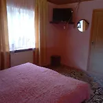 червона калина Slavske