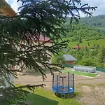 червона калина Slavske